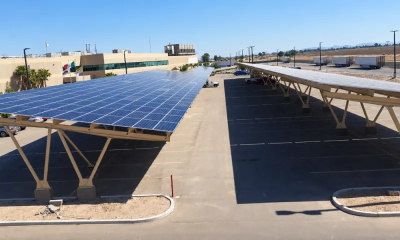 Taylor Farms